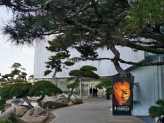 -罗红摄影艺术馆