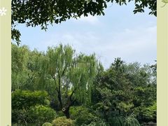 -秋霞圃