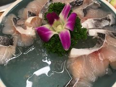 -青瓷火锅料理(西单大悦城店)