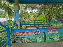 -广州长隆飞鸟乐园
