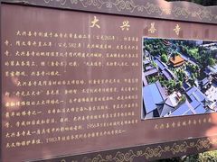 -西安大兴善寺