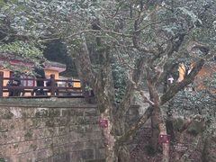 -普陀山风景区-佛顶山