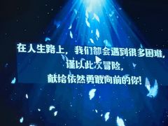 -屋有岛沉浸游戏旗舰店(中山公园店)