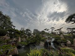 -罗红摄影艺术馆