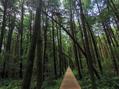 -同里国家湿地公园