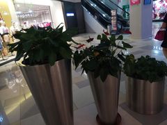 -鹏欣水游城