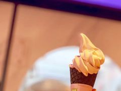 葡萄椰蓉-奈雪的茶(天河城店)