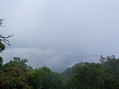 -青城山