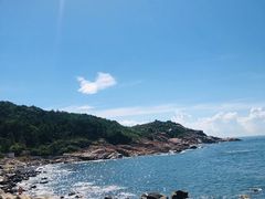 -广东惠东海龟国家级自然保护区