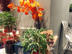 -dotcom coffee古点咖啡(致真大厦店)