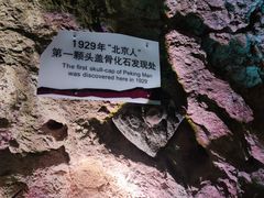 -周口店北京人遗址公园