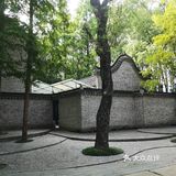 毛孩子崇明岛旅游慢调子 | 一尺花园“级推”