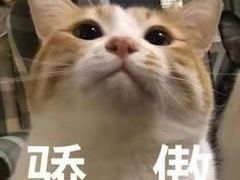 -大姐麻辣烫(莲宝中路店)