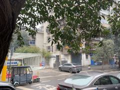 -刘老虎肉丸糊辣汤(总店)