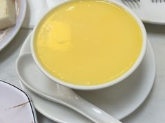 杏汁炖蛋-澳洲牛奶公司(佐敦店)