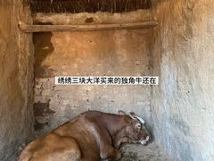 -红嫂家乡旅游区