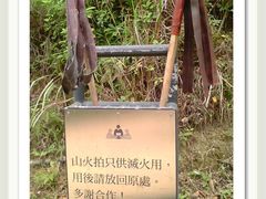 -南丫岛