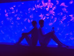 -波塞冬旅游度假区