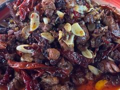 -柴窝堡22号辣子鸡·传承新疆菜