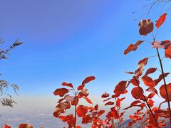 -香山公园