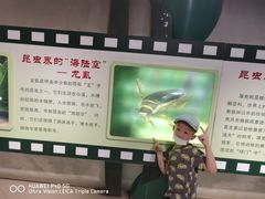 -上海昆虫博物馆