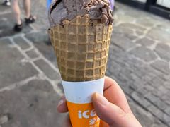 -iceason爱茜茜里·意大利健康冰淇淋(骑龙巷店)