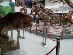 -中国地质大学逸夫博物馆