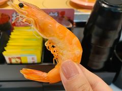 鲜虾-争鲜回转寿司(通州万达店)