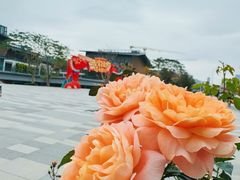 -香蜜公园
