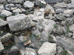-在海一方公园