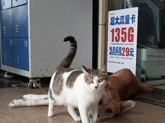 -宴长沙(五一广场店)