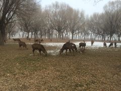 -赛汗塔拉风情园