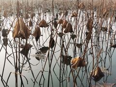 -苏州湾体育公园