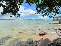 -深圳湾公园(南山区)