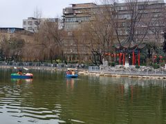 -莲湖公园