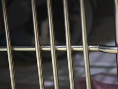 -艾贝尔宠物医院·24H转诊中心·肿瘤猫专科(江宁双龙店)
