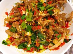 鸭掌筋-壹盏灯(惠农店)