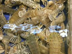 -海鲜城大家餐厅