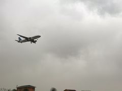-空港花田景区