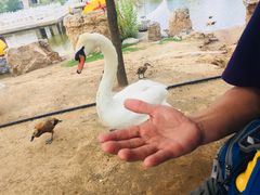 -鄂尔多斯野生动物园