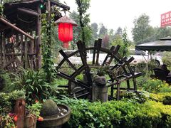 -青城甲(青城山店)