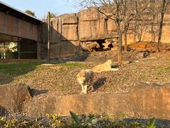 -杭州野生动物世界