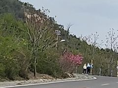 -定都阁