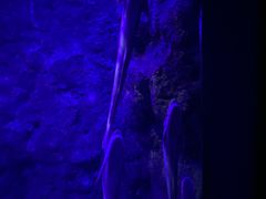 -江和美海洋公园