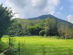 -黄埔油麻山森林公园