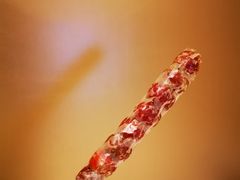 -和禄德冰糖葫芦
