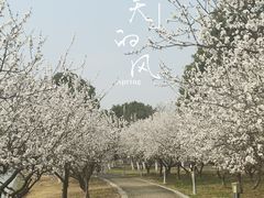 -阳澄湖半岛旅游度假区