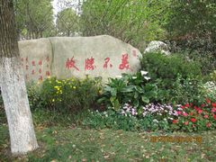 -上海鲜花港