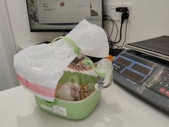 -立德动物医院·异宠·CT·鹦鹉(天河店)