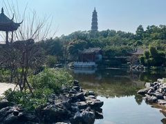 -顺峰山公园